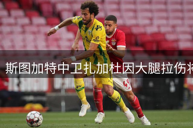 斯图加特中卫扎加杜因大腿拉伤将休战数周